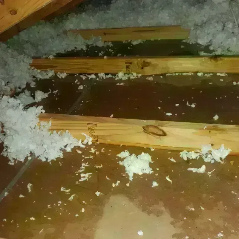 Attic Water Damage in Richgrove, CA