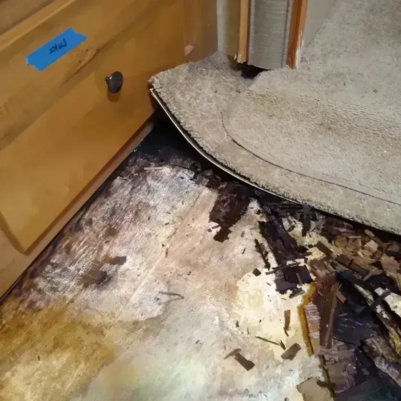 Wood Floor Water Damage in Richgrove, CA